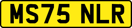 MS75NLR