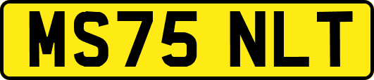 MS75NLT
