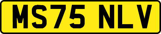 MS75NLV