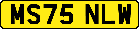 MS75NLW