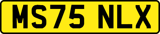 MS75NLX