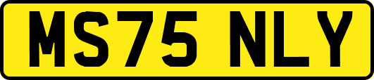 MS75NLY
