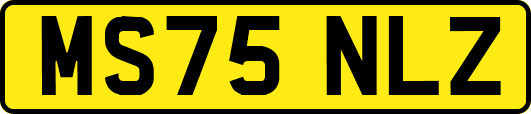MS75NLZ