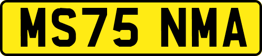 MS75NMA
