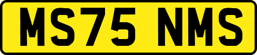 MS75NMS