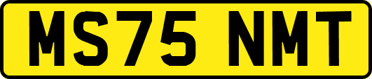 MS75NMT