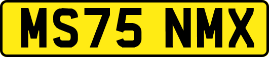 MS75NMX