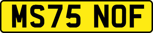 MS75NOF