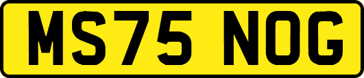 MS75NOG
