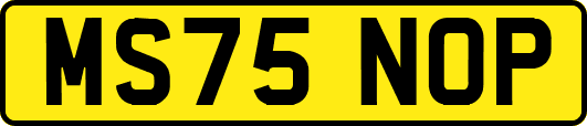 MS75NOP