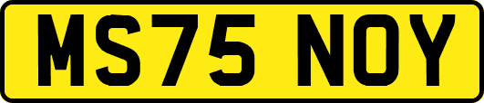 MS75NOY