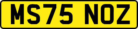 MS75NOZ
