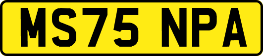 MS75NPA