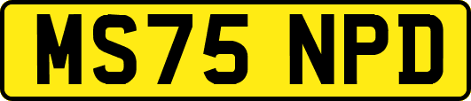 MS75NPD