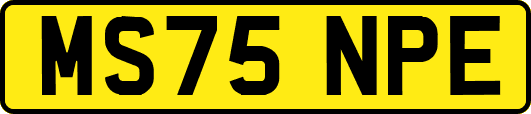 MS75NPE