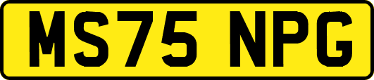 MS75NPG
