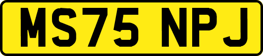 MS75NPJ
