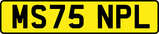 MS75NPL