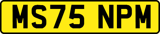 MS75NPM