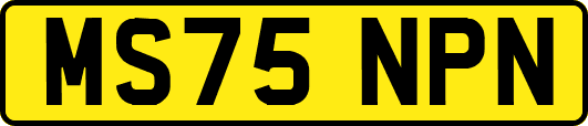 MS75NPN