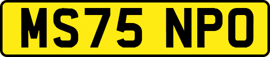 MS75NPO