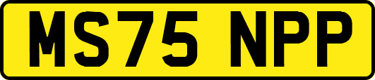 MS75NPP