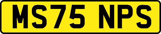 MS75NPS