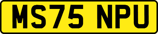 MS75NPU