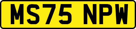 MS75NPW