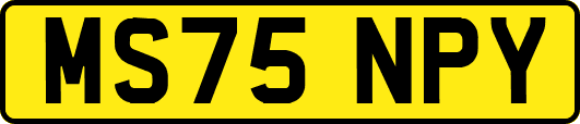 MS75NPY
