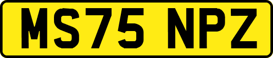MS75NPZ