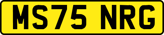 MS75NRG