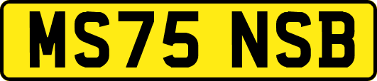 MS75NSB