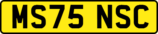 MS75NSC