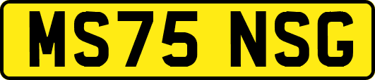 MS75NSG