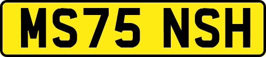 MS75NSH