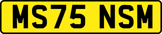 MS75NSM