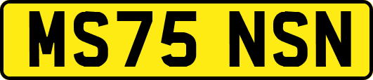 MS75NSN