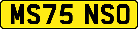 MS75NSO