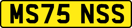 MS75NSS