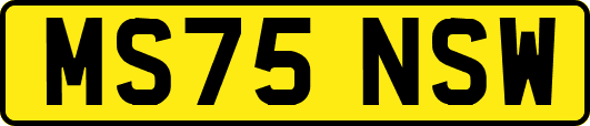 MS75NSW