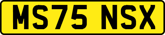 MS75NSX