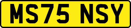 MS75NSY