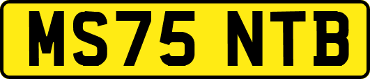 MS75NTB