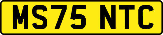 MS75NTC