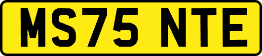 MS75NTE