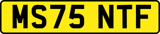 MS75NTF