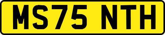 MS75NTH