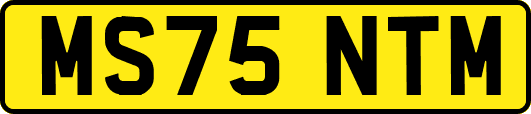 MS75NTM