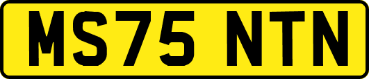 MS75NTN